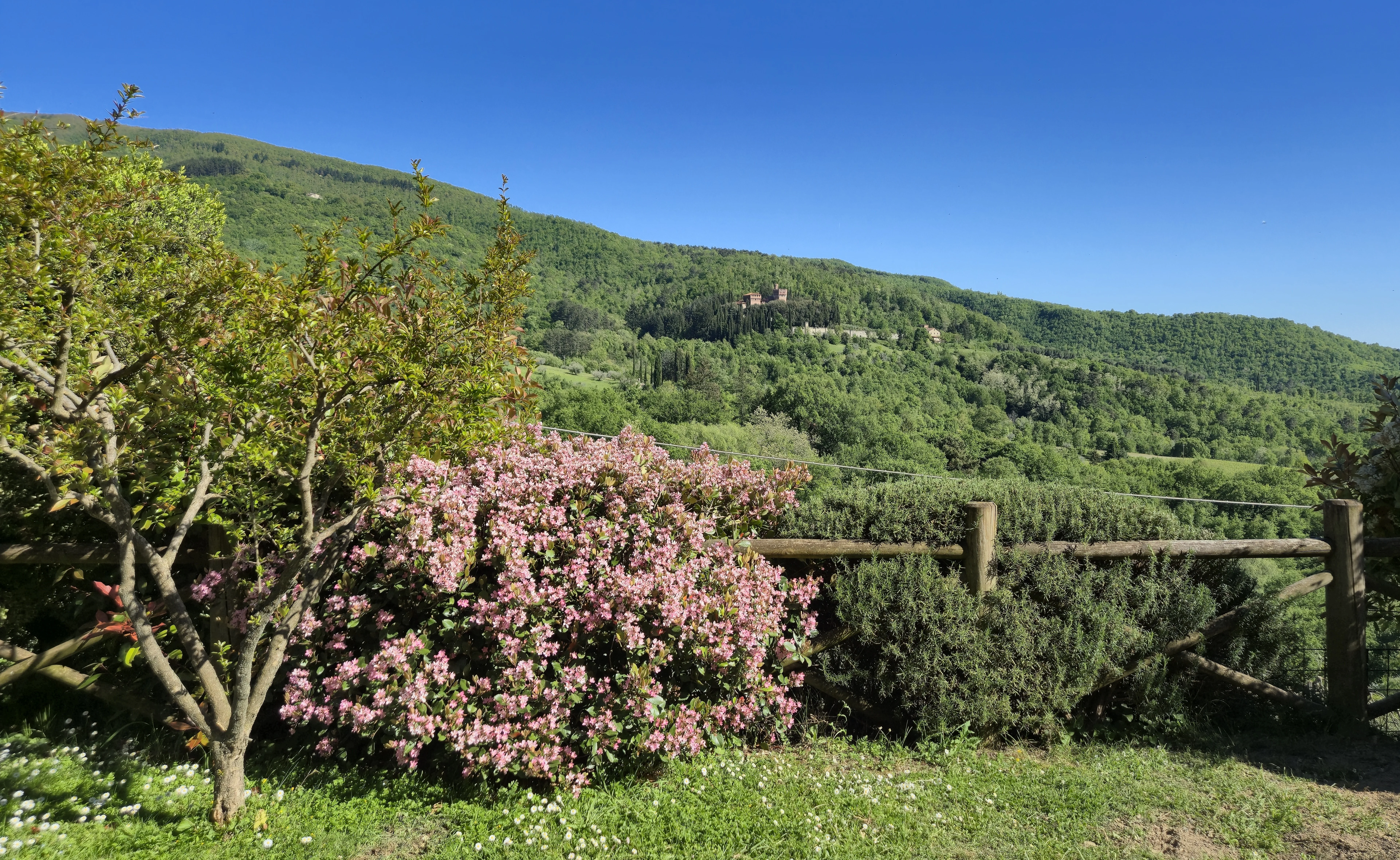 Dettaglio casa in pietra con fiori rosa