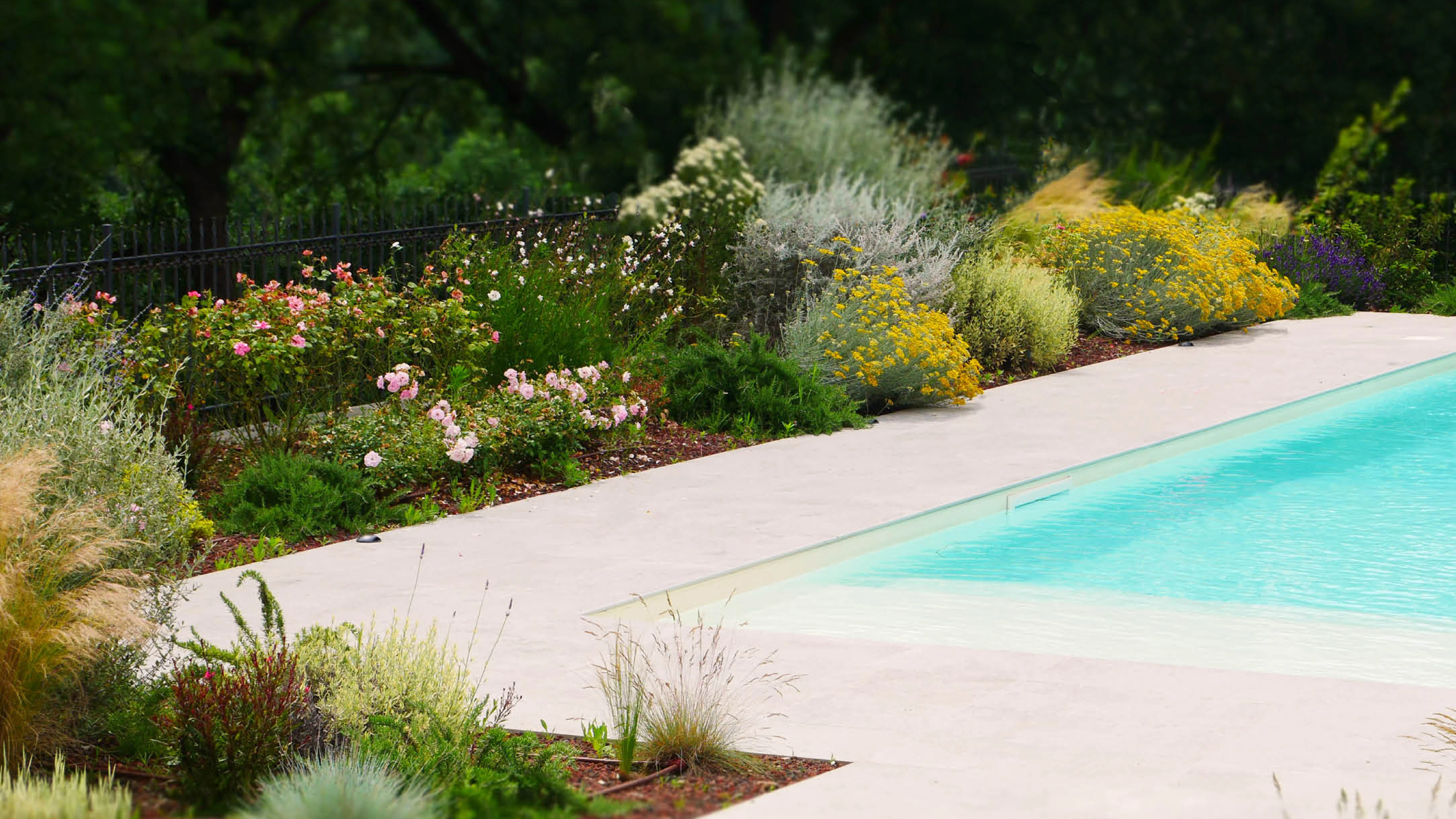 Progetto piscina e giardino 2